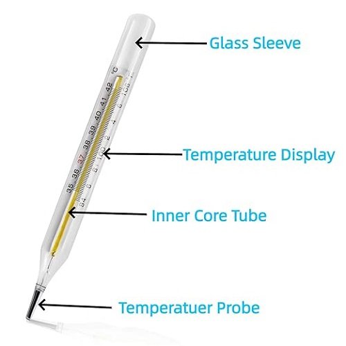 ℃&℉ Clinical Glass Thermometer for Underarm 2PCS - Classic Non Digital Thermometer for Adults - Medical Fever Thermometer - Accurate Easy Reading