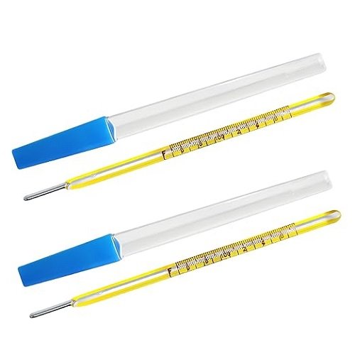 ℃&℉ Oral Thermometer for Adults and Kids 2PCS - Glass Rectal Thermometer for Baby - Basal Body Thermometer - Non Infrared Digital Thermometer